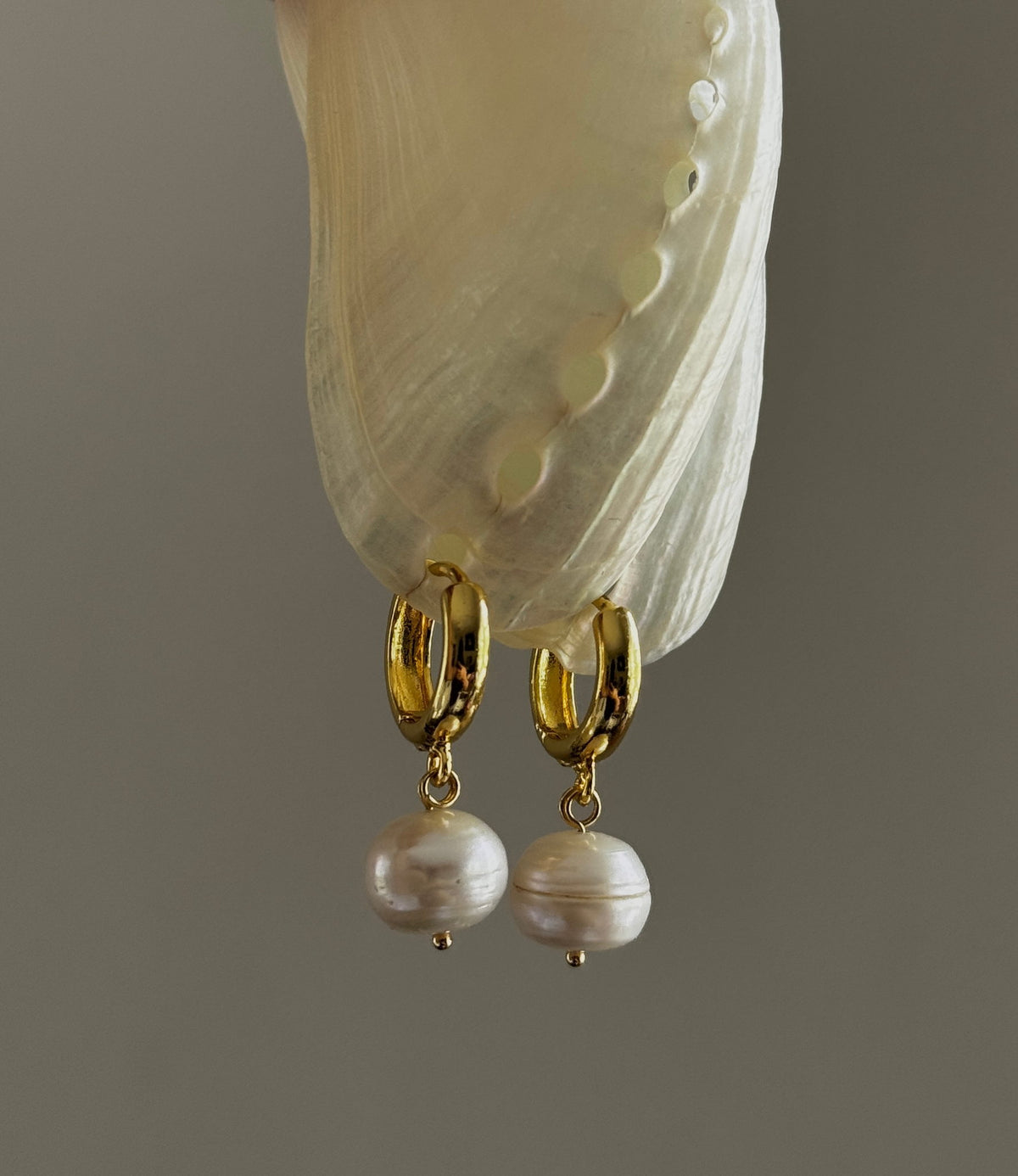 Potato Pearl Hoops hanging from an abalone shell, close-up of the pearl drops